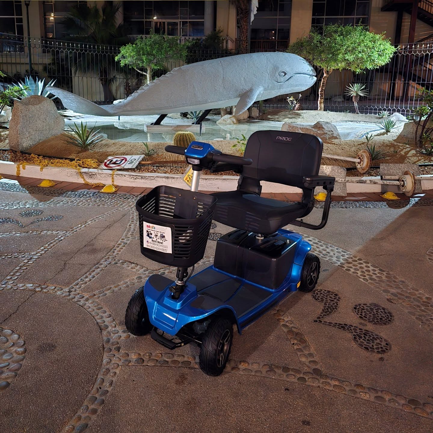 MexicoMobility®️ 
We rent scooters, wheelchairs, powerchair & oxygen equipment to all hotels & villas in major Mexico Beach destinations. ♿🛄 #cabo #cancun #puertovallarta #mazatlan #playadelcarmen #merida #cozumel #mexicoaccesible #mexicomobility #forhandicappedtravelers#electricscooters#mobilityscooters  #wheelchairaccessiblehotels #wheelchairaccessible #wheelchairs #travelwithwheelchair #travelingwithdisabilities #travelwithwheels #disabledtraveler